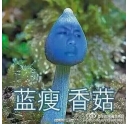 藍瘦香菇什么梗 柯尼卡美能達復印機新代碼？